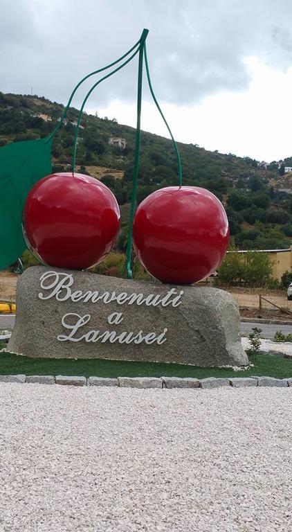 Monti E Mare Acomodação com café da manhã Lanusei Exterior foto